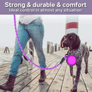 Guia Reforçada para Cães com Faixa Refletiva – Resistente e Segura para Passeios