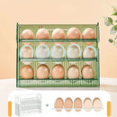 Organizador de Ovos Premium