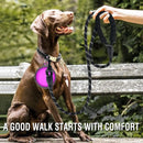 Guia Reforçada para Cães com Faixa Refletiva – Resistente e Segura para Passeios